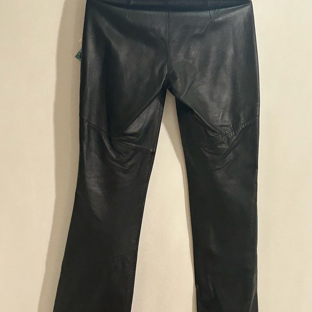 Castle Core Dark Fairy Mob wife Biker Indie Wilson‎ Black Leather Pants Sz 2